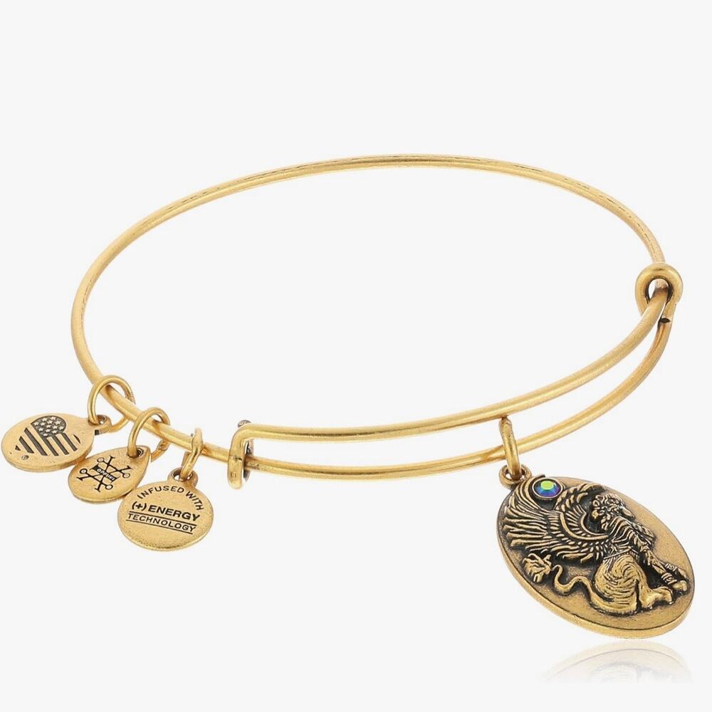 New Alex and Ani "Path of Symbols" Sphinx Charm Bangle Bracelet in Rafaelian - Picture 6 of 7